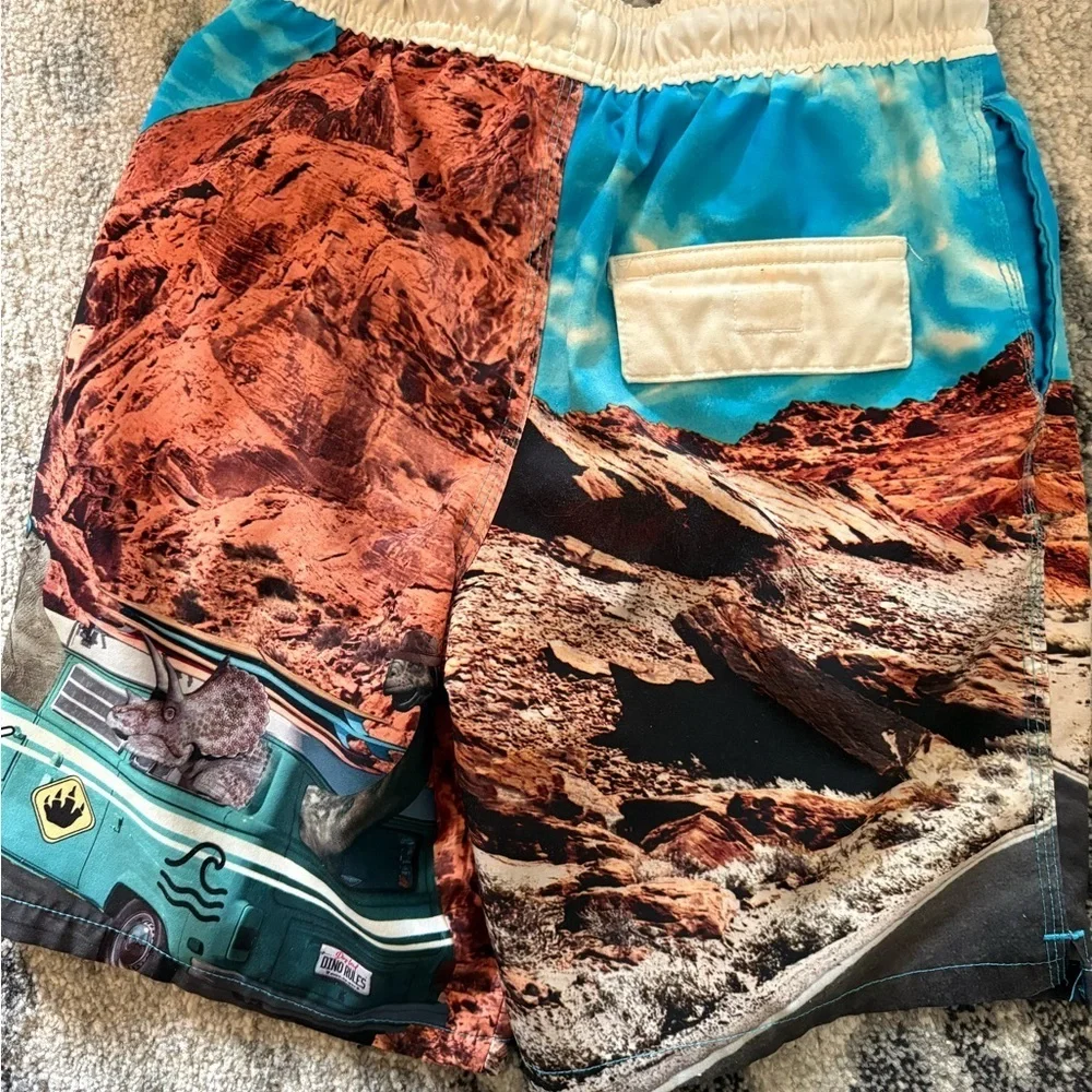 Boys size 8 medium Graphic Print Shorts Volkswagen Bus Dinosaur swim trunk